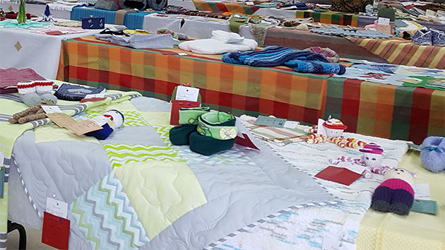 Exposition annuelle du Cercle St-Rémi-de-Tingwick.